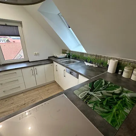 Maximus בית הארחה *