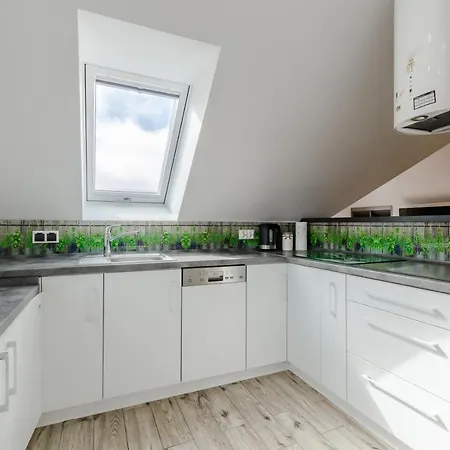 בית הארחה Maximus *