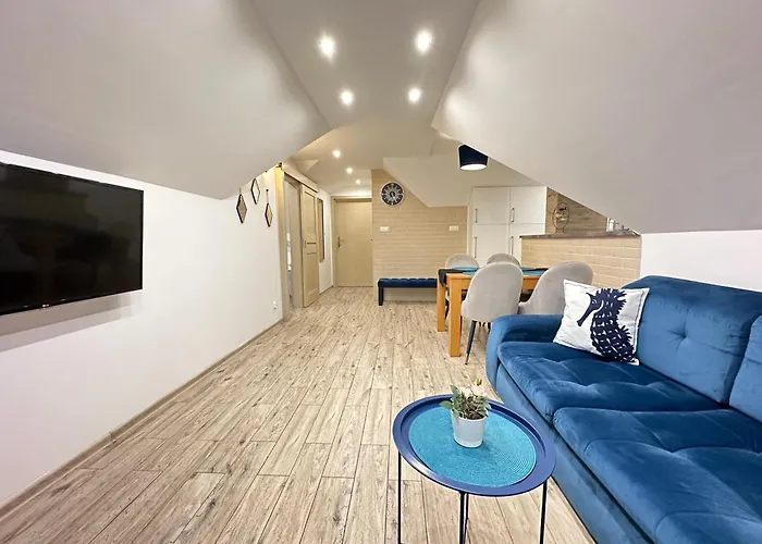 Maximus ゲストハウス *